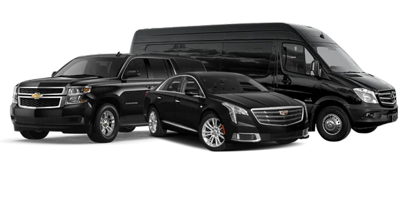 Expert Limo SEO will drive business to your car service or limo fleet
